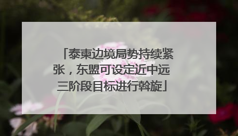 泰柬边境局势持续紧张，东盟可设定近中远三阶段目标进行斡旋
