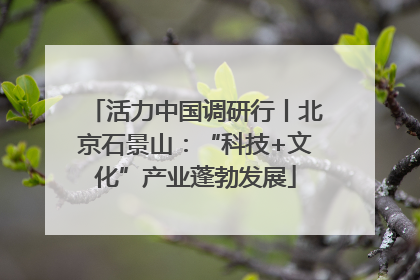 活力中国调研行丨北京石景山：“科技+文化”产业蓬勃发展
