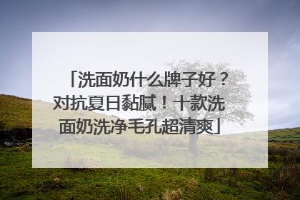 洗面奶什么牌子好？对抗夏日黏腻！十款洗面奶洗净毛孔超清爽