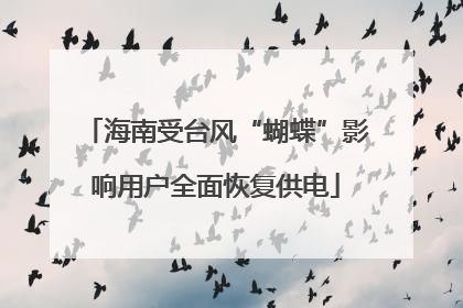海南受台风“蝴蝶”影响用户全面恢复供电