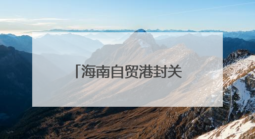 海南自贸港封关在即，先行免税政策成效几何？