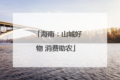 海南：山城好物 消费助农
