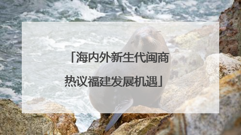 海内外新生代闽商热议福建发展机遇