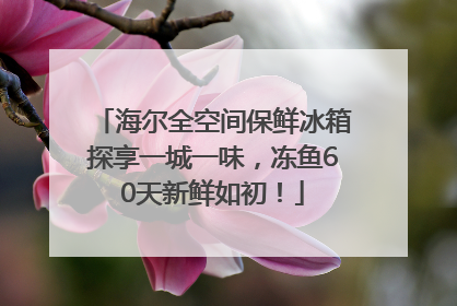海尔全空间保鲜冰箱探享一城一味，冻鱼60天新鲜如初！
