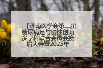济南医学会第二届糖尿病足与慢性创面多学科联合委员会换届大会暨2025年学术年会成功举行