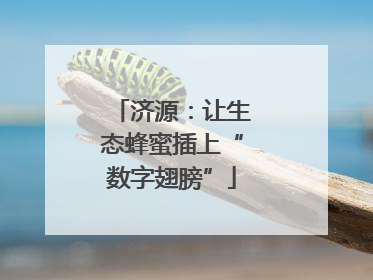 济源：让生态蜂蜜插上“数字翅膀”