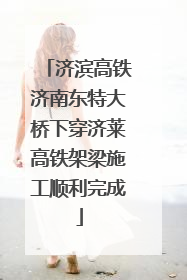 济滨高铁济南东特大桥下穿济莱高铁架梁施工顺利完成