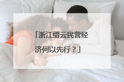 浙江缙云民营经济何以先行？