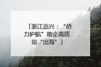 浙江嘉兴：“侨力护航”助企高质量“出海”