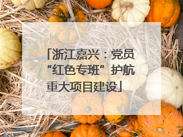 浙江嘉兴：党员“红色专班”护航重大项目建设