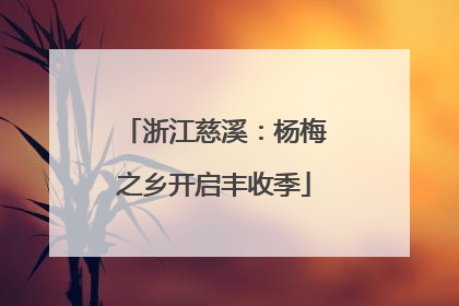 浙江慈溪：杨梅之乡开启丰收季