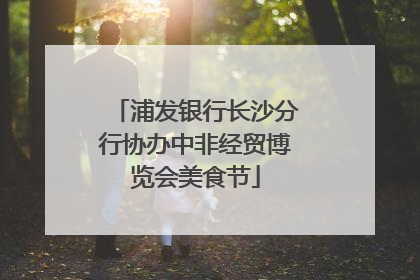 浦发银行长沙分行协办中非经贸博览会美食节
