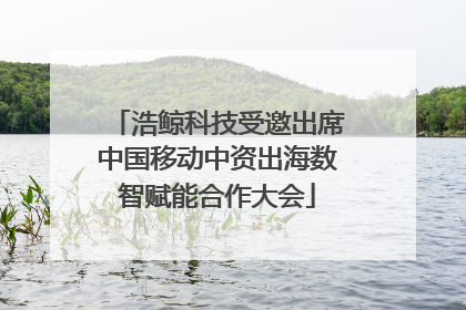 浩鲸科技受邀出席中国移动中资出海数智赋能合作大会