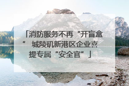 消防服务不再“开盲盒” 城陵矶新港区企业喜提专属“安全官”