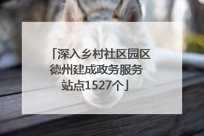 深入乡村社区园区 德州建成政务服务站点1527个