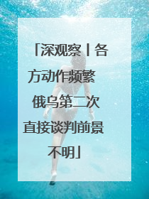 深观察丨各方动作频繁  俄乌第二次直接谈判前景不明