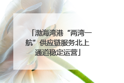 渤海湾港“两湾一航”供应链服务北上通道稳定运营