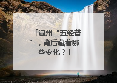 温州“五经普”，背后藏着哪些变化？