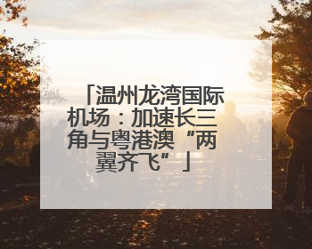 温州龙湾国际机场：加速长三角与粤港澳“两翼齐飞”