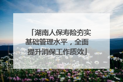 湖南人保寿险夯实基础管理水平，全面提升消保工作质效