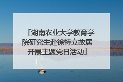湖南农业大学教育学院研究生赴徐特立故居开展主题党日活动