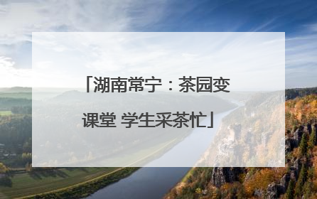 湖南常宁：茶园变课堂 学生采茶忙