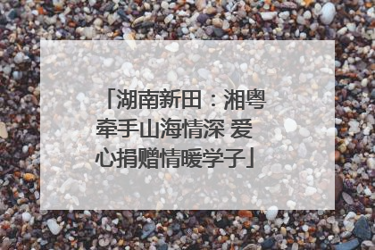湖南新田：湘粤牵手山海情深 爱心捐赠情暖学子