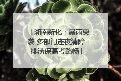 湖南新化：暴雨突袭 多部门连夜清障排涝保高考路畅