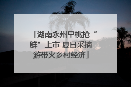 湖南永州早桃抢“鲜”上市 夏日采摘游带火乡村经济
