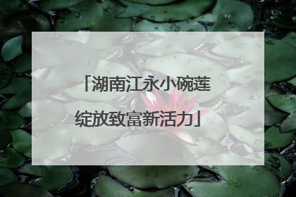 湖南江永小碗莲绽放致富新活力