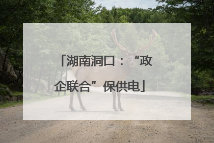 湖南洞口：“政企联合”保供电