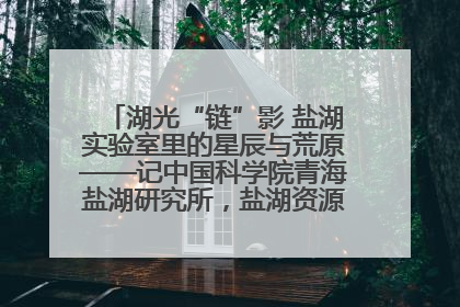 湖光“链”影 盐湖实验室里的星辰与荒原——记中国科学院青海盐湖研究所，盐湖资源化学实验室党总支书记、副主任刘忠