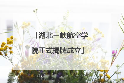 湖北三峡航空学院正式揭牌成立