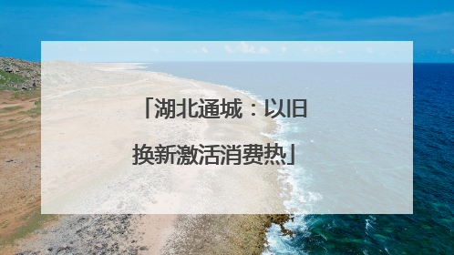 湖北通城：以旧换新激活消费热