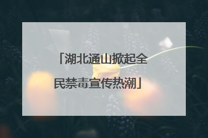 湖北通山掀起全民禁毒宣传热潮