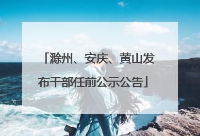 滁州、安庆、黄山发布干部任前公示公告