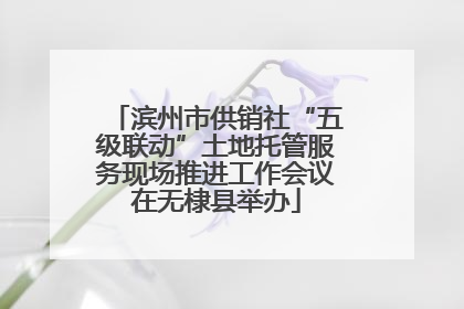 滨州市供销社“五级联动”土地托管服务现场推进工作会议在无棣县举办