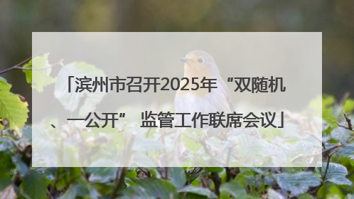 滨州市召开2025年“双随机、一公开” 监管工作联席会议