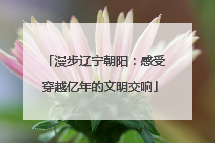 漫步辽宁朝阳：感受穿越亿年的文明交响