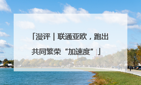 漫评｜联通亚欧，跑出共同繁荣“加速度”