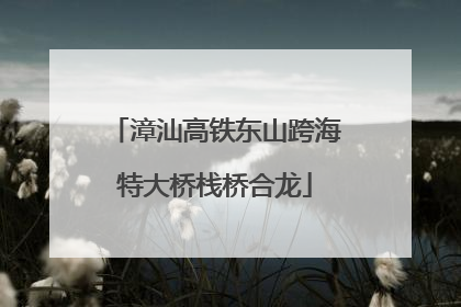 漳汕高铁东山跨海特大桥栈桥合龙