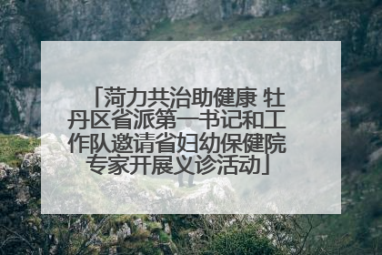 菏力共治助健康 牡丹区省派第一书记和工作队邀请省妇幼保健院专家开展义诊活动