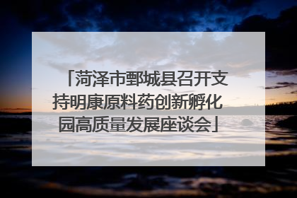 菏泽市鄄城县召开支持明康原料药创新孵化园高质量发展座谈会