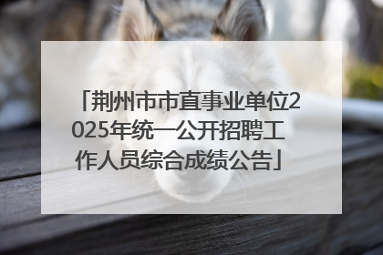 荆州市市直事业单位2025年统一公开招聘工作人员综合成绩公告