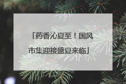 药香沁夏至！国风市集迎接盛夏来临