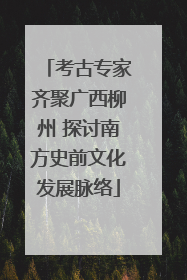 考古专家齐聚广西柳州 探讨南方史前文化发展脉络