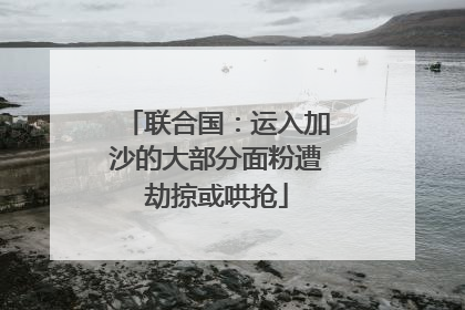 联合国：运入加沙的大部分面粉遭劫掠或哄抢