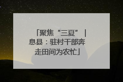 聚焦“三夏”｜息县：驻村干部奔走田间为农忙