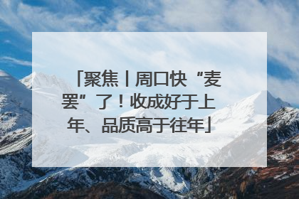 聚焦丨周口快“麦罢”了！收成好于上年、品质高于往年