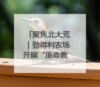聚焦北大荒｜勤得利农场开展“廉政教育+科技赋能”主题党日活动